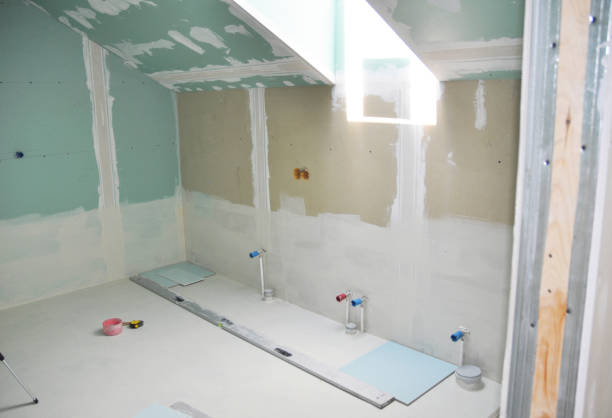 Best Crawl Space Mold Remediation  in Minonk, IL