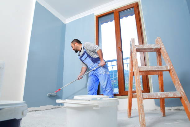 Best Black Mold Removal  in Minonk, IL