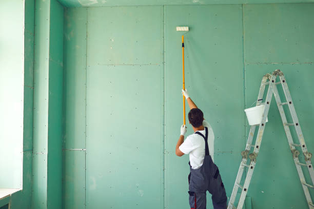 Best Emergency Mold Remediation  in Minonk, IL