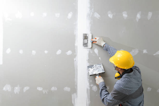 Best Real Estate Mold Inspection  in Minonk, IL