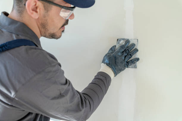 Best Water Damage & Mold Remediation  in Minonk, IL