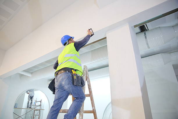 Best Post-Remediation Verification Testing  in Minonk, IL